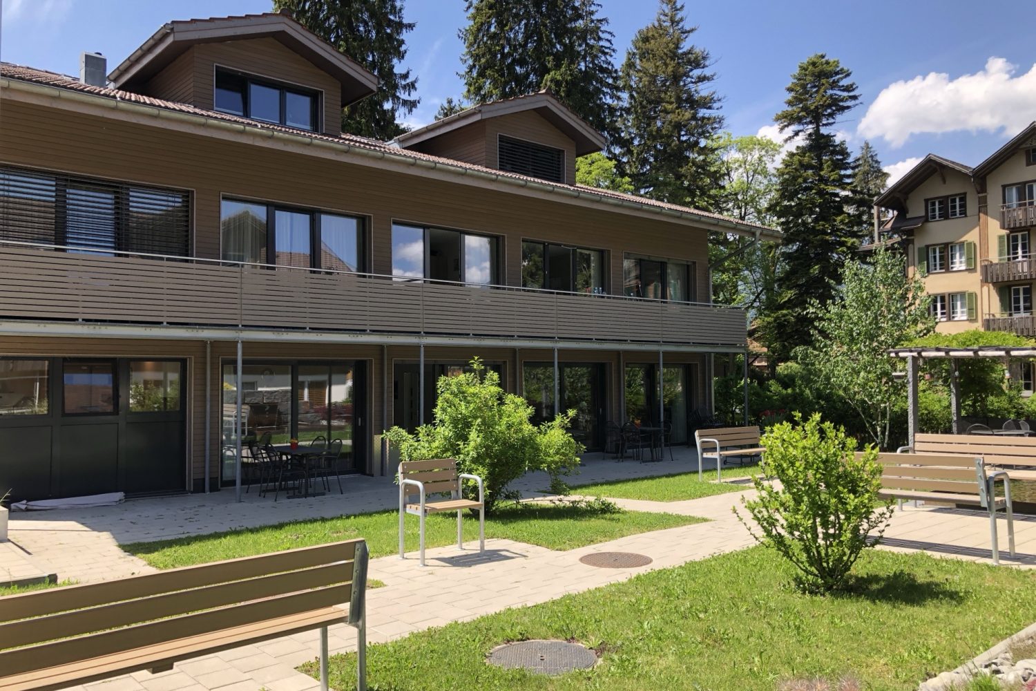 2020_05_Eiche_IMG_8260