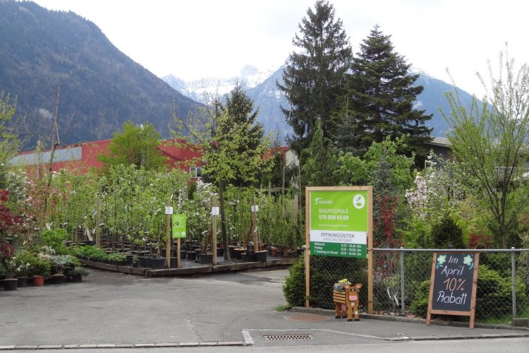 baumschule_dsc08992_yO2L9Rf.jpeg__1500x3000_q85_subsampling-2