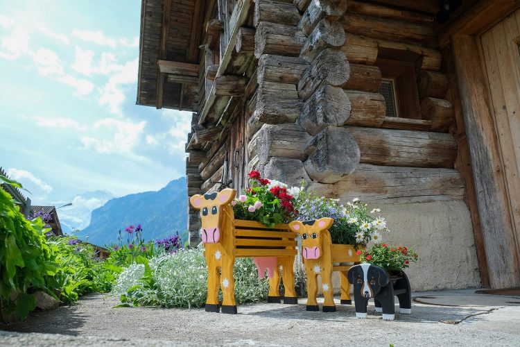 coop_blumentier_1.jpg__1500x3000_q85_subsampling-2